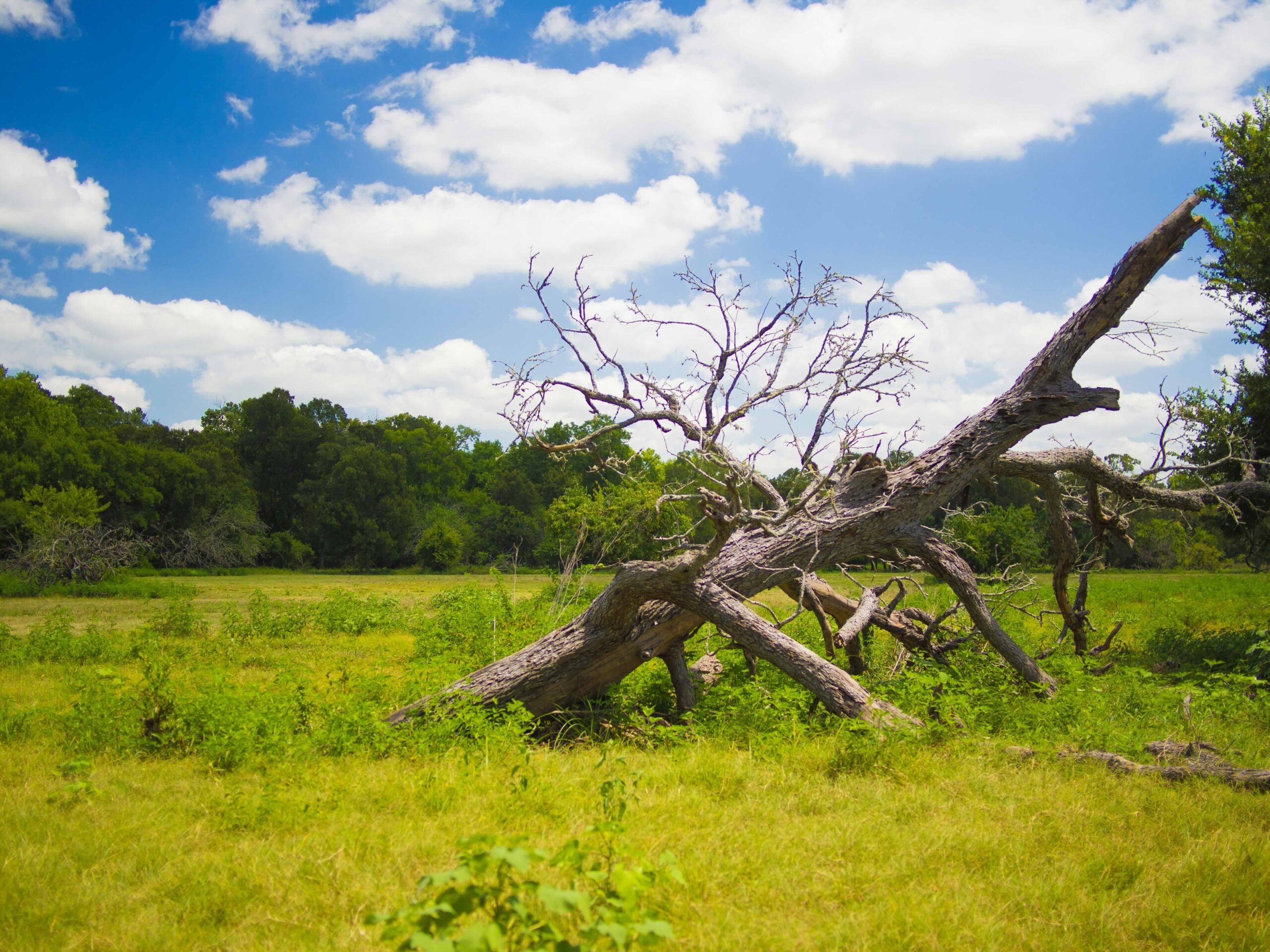 How to turn on electricity in Brownwood, TX.