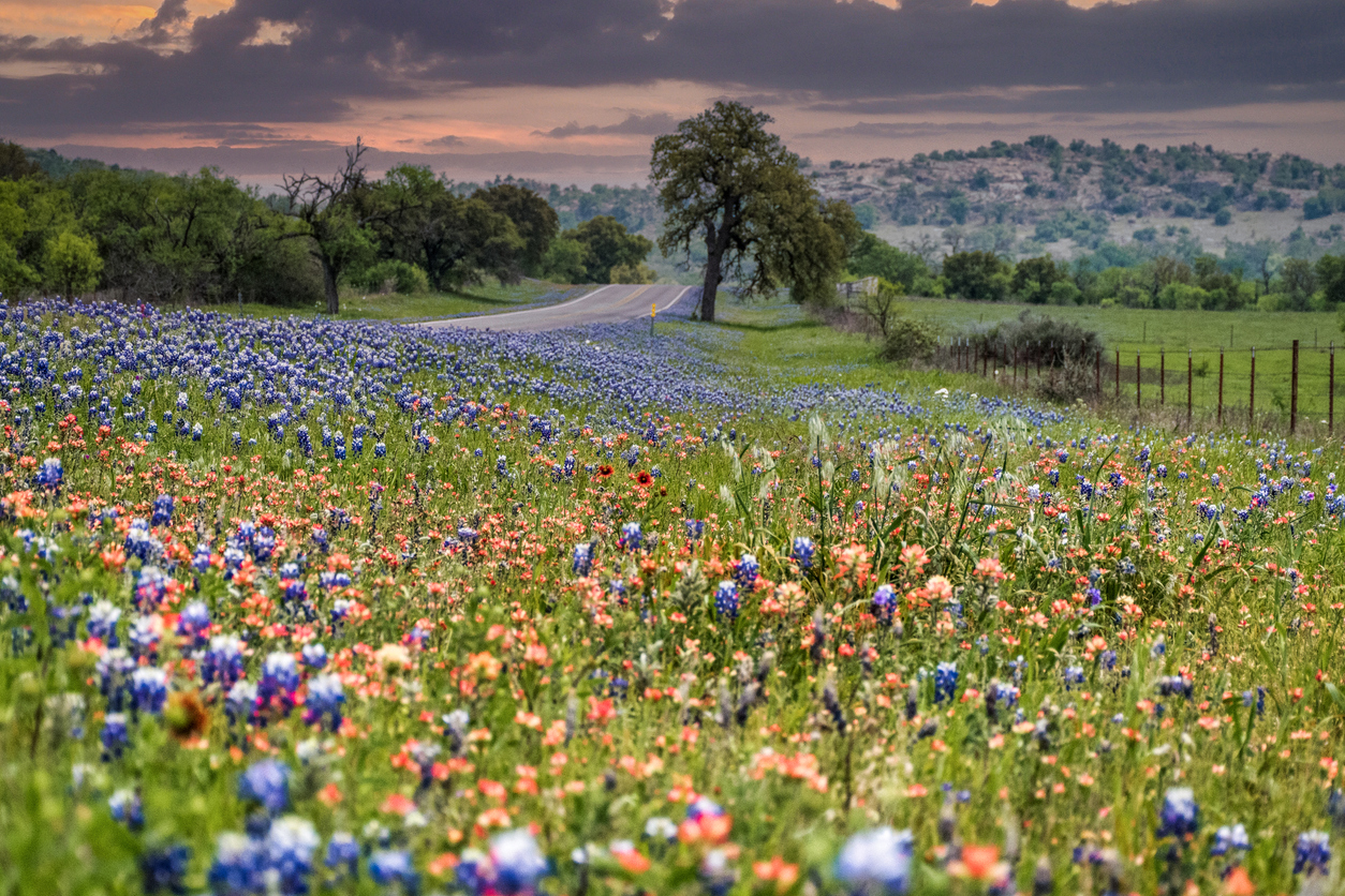 Setting up utilities in Flower Mound, TX